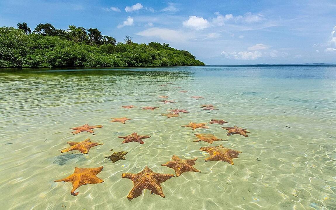 Casa Del Mar Villa Bocas del Toro Eksteriør billede